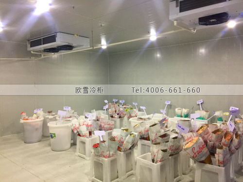 鮮花保鮮冷庫.jpg