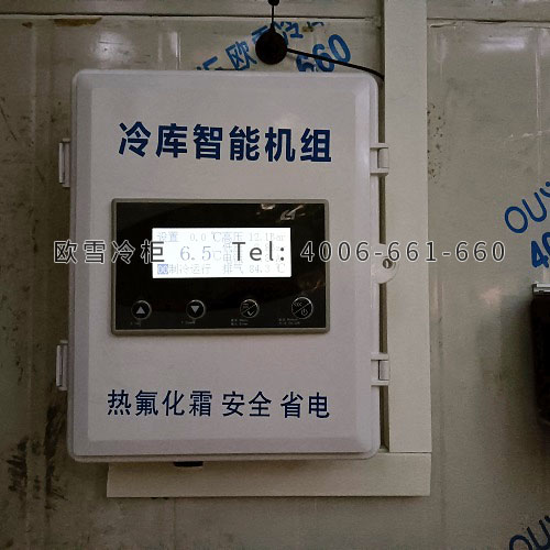 生鮮配送物流倉儲(chǔ)冷庫安裝.jpg
