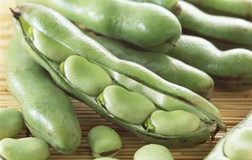 蠶豆儲存冷庫.jpg