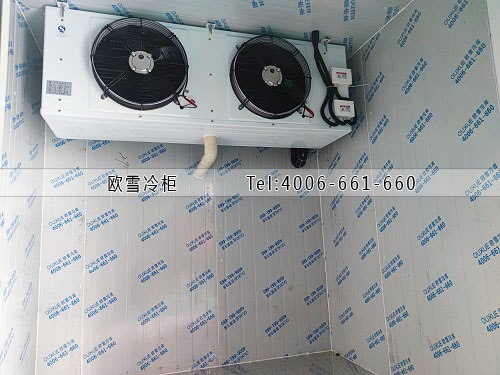 超低溫冷凍庫(kù)安裝.jpg