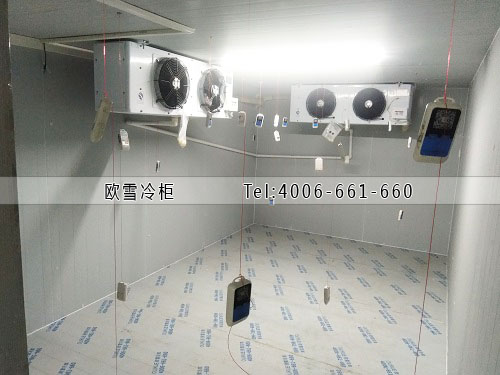 建個(gè)小型的醫(yī)藥冷庫(kù)需要多少錢.jpg