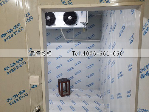 小型水果保鮮冷庫(kù)安裝.jpg