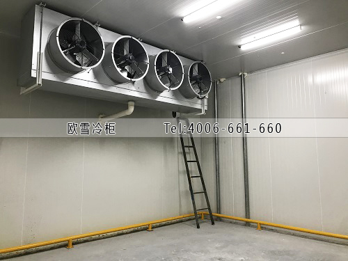 小型醫(yī)藥冷庫(kù)建設(shè)多少錢一平方.jpg