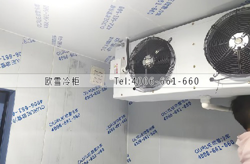 水果保鮮庫.jpg