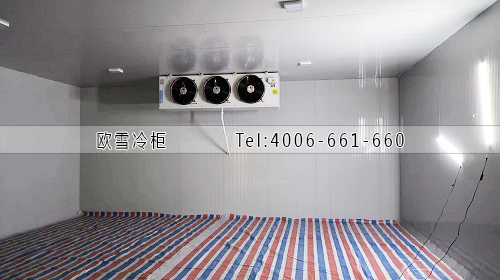 凍庫建造廠家.jpg