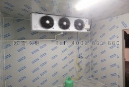 冷庫(kù)建設(shè)多少錢一平方？小型冷庫(kù)工程安裝建造