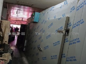 重慶南岸區(qū)小型肉類冷藏冷凍冷庫安裝