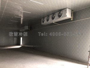安?？h城關生豬定點屠宰廠肉類冷藏冷凍冷庫安裝