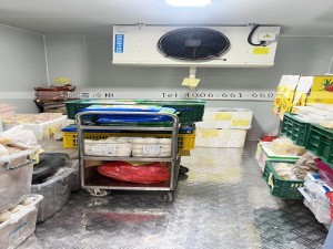 香港15立方小型食品冷凍冷庫(kù)安裝案例