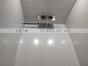 湖南長(zhǎng)沙200立方工業(yè)材料冷凍冷庫(kù)安裝案例