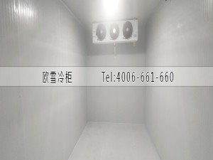 福建泉州食品雙溫儲(chǔ)存冷庫(kù)安裝案例