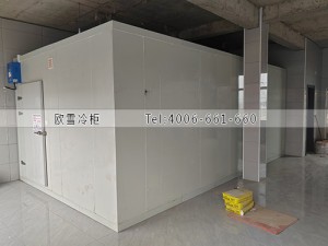 湖南常德60立方的冷凍冷庫安裝案例