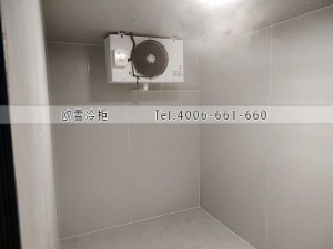 福建泉州水果店小型保鮮冷庫安裝案例